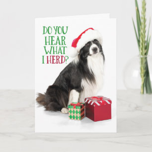 Cute Herding Border Collie With Christmas Gifts Feiertagskarte