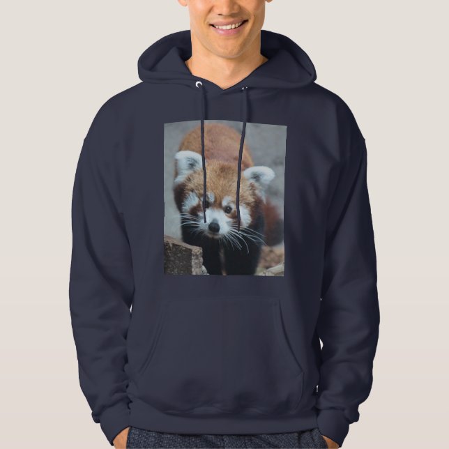 Cute Hoodie (Vorderseite)