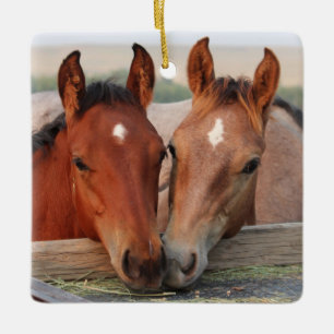 Cute Horse Foal Friends Keramikornament