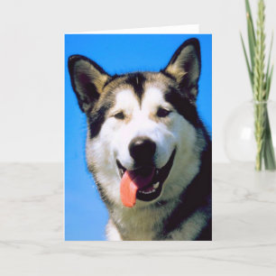 Cute husky dog foto customizable greeting card karte
