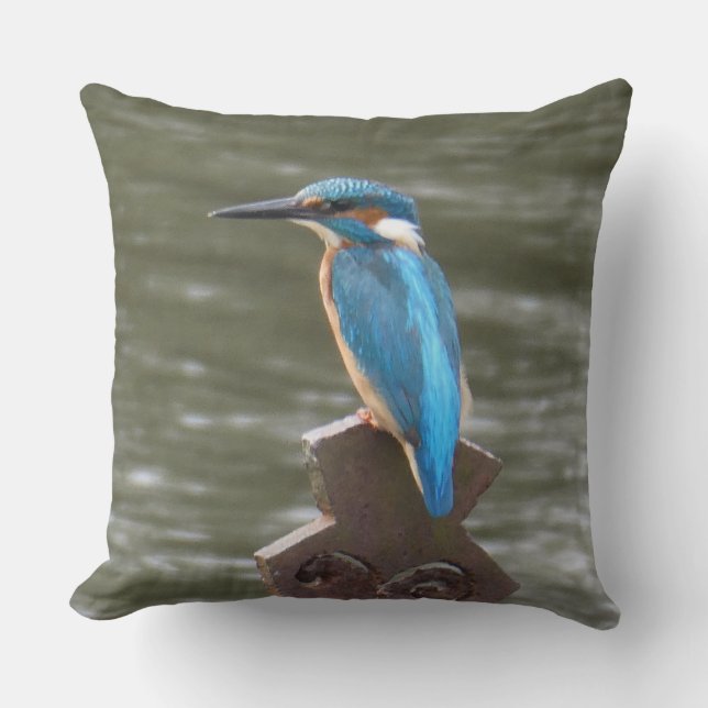 Cute Kingfisher Throw Pillow Kissen (Vorderseite)
