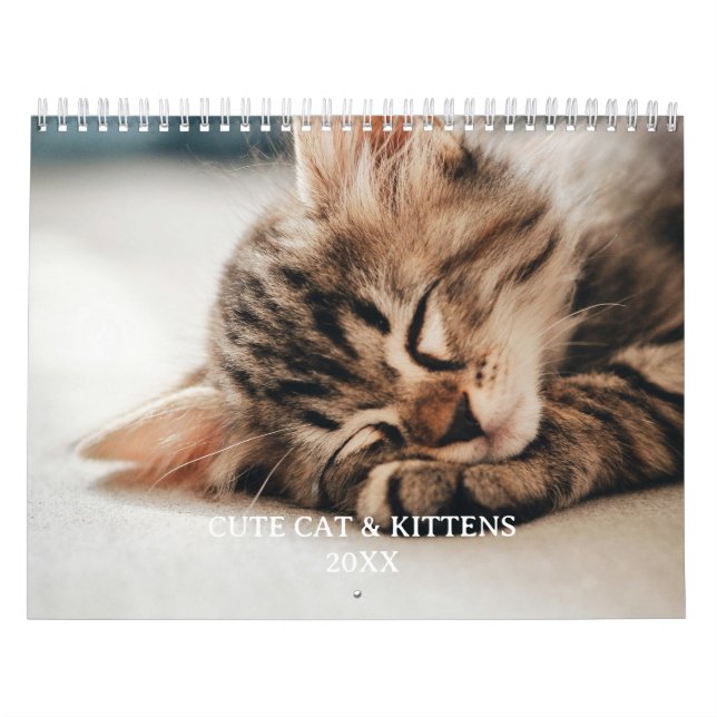 Cute Kitten And Cat Pet Photo Kalender (Titelbild)