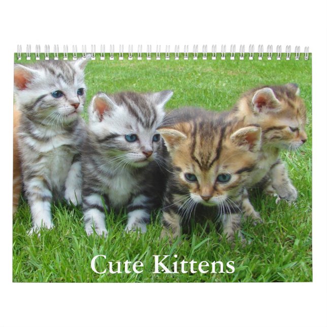 Cute Kitten Calendar Kalender (Titelbild)
