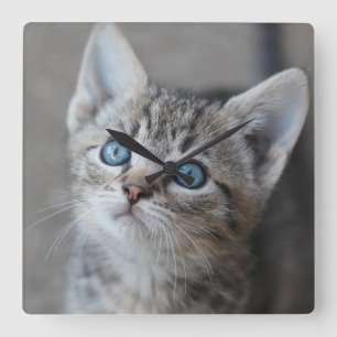 Cute Kitten In the Garden Quadratische Wanduhr