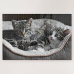 Cute Kitten Puzzle<br><div class="desc">A picture puzzle that will bring hours of pleasure to anyone who loves cats. This cute kitten puzzle would make an ideal gift or for your own pleasure.
Picture by: HelgaKa (Pixabay)</div>