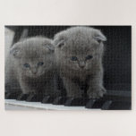 Cute Kitten Puzzle<br><div class="desc">A picture puzzle that will bring hours of pleasure to anyone who loves cats. This cute kitten puzzle would make an ideal gift or for your own pleasure.
Picture by: Pexels (Pixabay)</div>