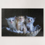 Cute Kitten Puzzle<br><div class="desc">A picture puzzle that will bring hours of pleasure to anyone who loves cats. This cute kitten puzzle would make an ideal gift or for your own pleasure.
Picture by: Quangpraha (Pixabay)</div>