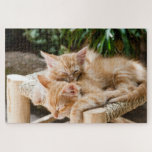 Cute Kitten Puzzle<br><div class="desc">A picture puzzle that will bring hours of pleasure to anyone who loves cats. This cute kitten puzzle would make an ideal gift or for your own pleasure.
Picture by: luxstorm (Pixabay)</div>