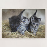 Cute Kitten Puzzle<br><div class="desc">A picture puzzle that will bring hours of pleasure to anyone who loves cats. This cute kitten puzzle would make an ideal gift or for your own pleasure.
Picture by: congerdesign (Pixabay)</div>
