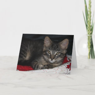 Cute Kitten Thank You Card Dankeskarte