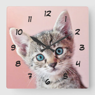 Cute kitten with blue eyes. quadratische wanduhr