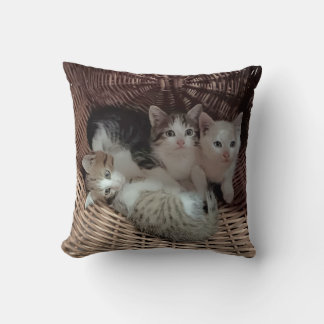 Cute Kittens in Basket Throw Pillow Kissen
