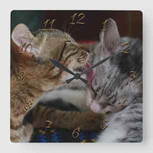 Cute kittens quadratische wanduhr