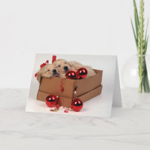 Cute Labrador puppies with x-mas baubles Feiertagskarte