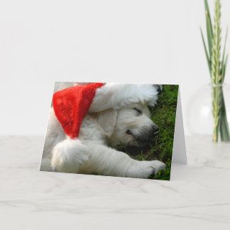Cute labrador puppy with x-mas hat feiertagskarte