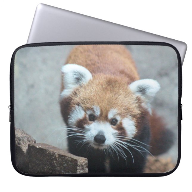 Cute Laptopschutzhülle (Vorderseite)