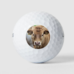 CUTE LITTLE COW GOLFBALL