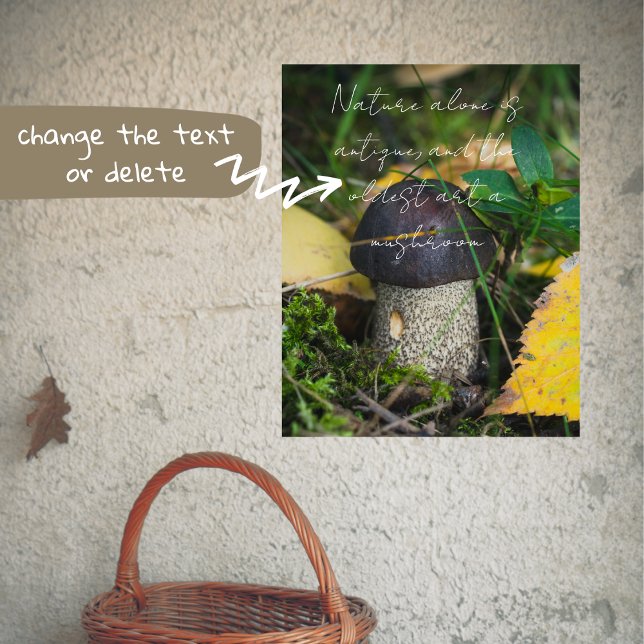 Cute little mushroom poster (Von Creator hochgeladen)