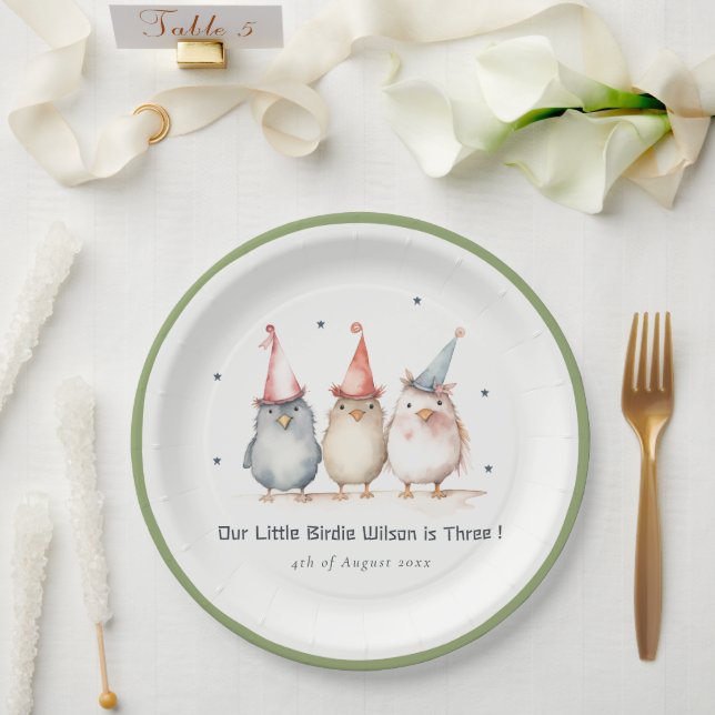 Cute Little Party Birds Any Age Kids Birthday Pappteller (Hochzeit)