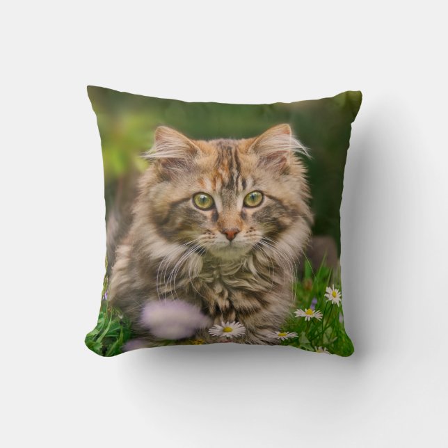 Cute Maine Coon Kitten Cat in a Flower Meadow - Kissen (Vorderseite)