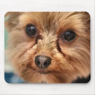 Cute Mousepad