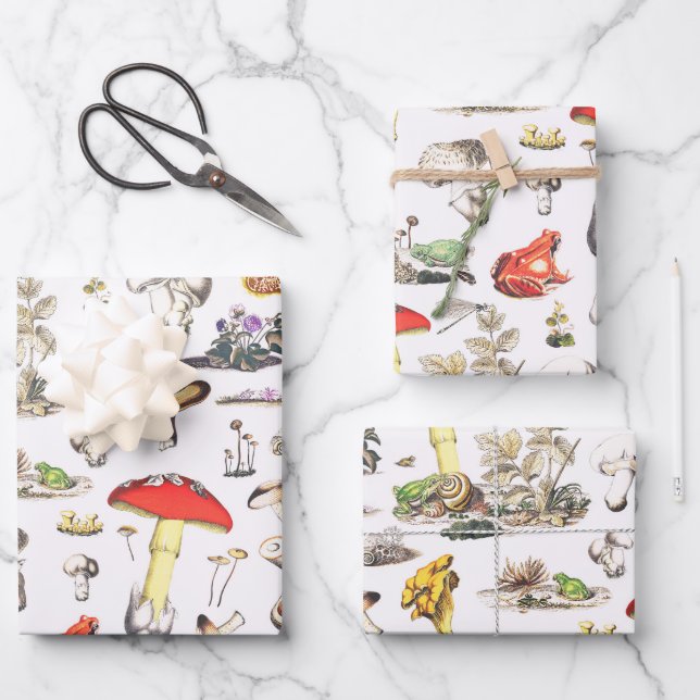 Cute Mushroom Frog Snail Forest Pattern Geschenkpapier Set (Vorderseite)