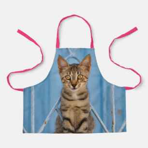 Cute Nosy Tabby Cat Kitten Sitting in a Blue Fence Schürze