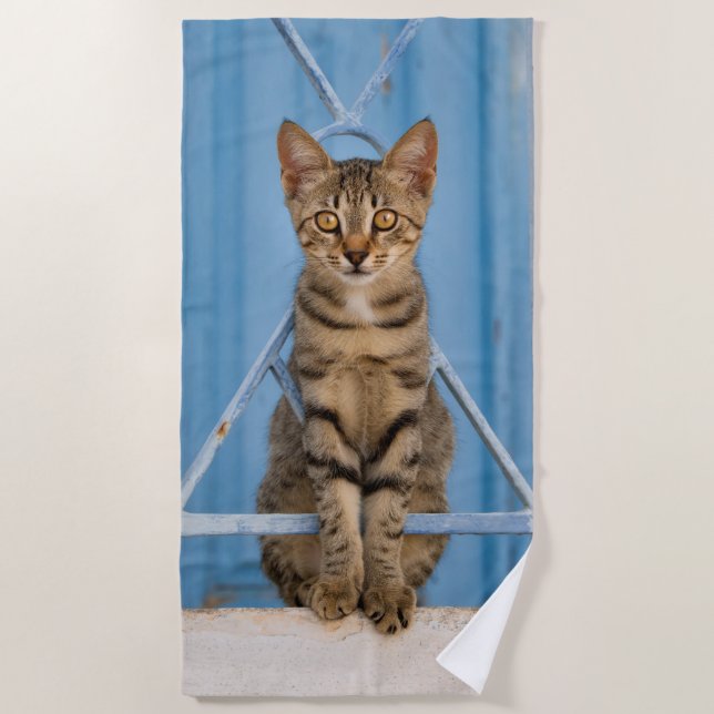 Cute Nosy Tabby Cat Kitten Sitting in a Blue Fence Strandtuch (Vorderseite)