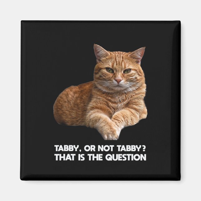 Cute Orange Cat Magnet (Vorne)