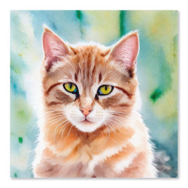 Cute Orange Cat Tapete