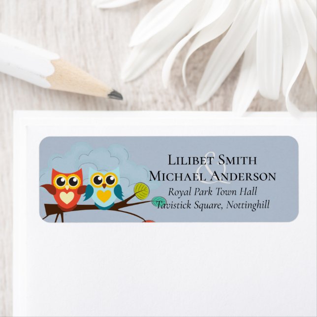 Cute OWLS Themed Wedding Blue Orange (Insitu)