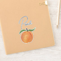 Cute Painted Peach Fruit Illustration