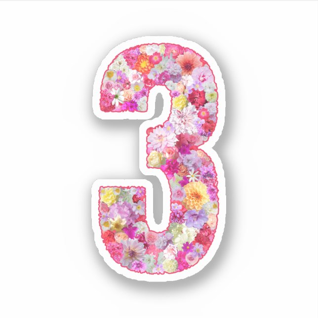 Cute Pink Decorative Botanical Floral Number 3 Aufkleber (Vorderseite)