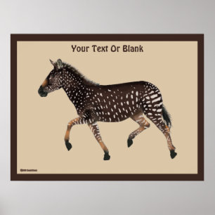 Cute Polka Dot Zebra Poster