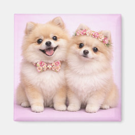 Cute Pomeranian Couple Valentine Illustration  Magnet