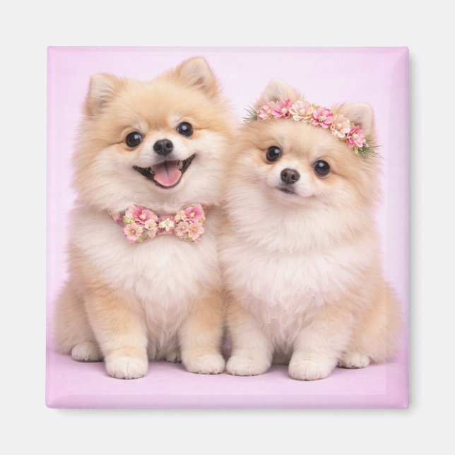 Cute Pomeranian Couple Valentine Illustration  Magnet (Vorne)
