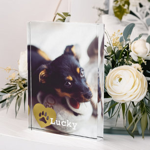 Cute Printed Gold Paw Print Pet Foto