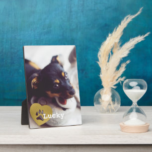 Cute Printed Gold Paw Print Pet Foto Fotoplatte