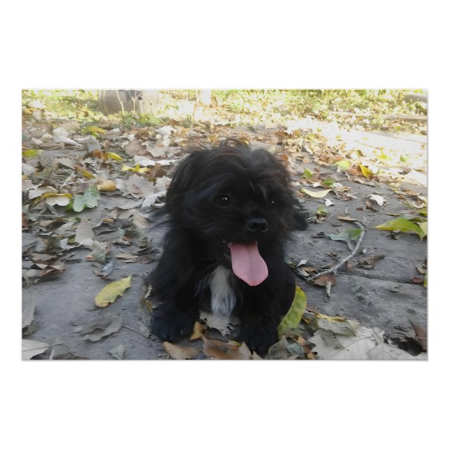 Cute Puppy Alert Poster (Vorderseite)