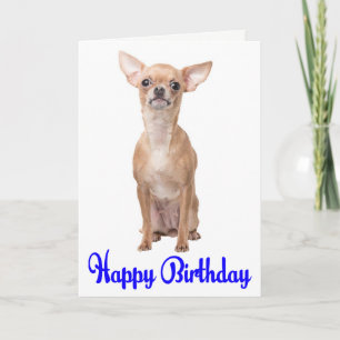 Cute Puppy Dog Chihuahua Happy Birthday Karte