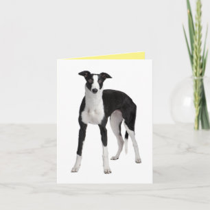 Cute Puppy Dog Greyhound Miss You Love Hello Karte