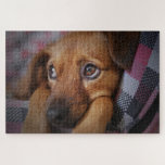 Cute Puppy Dog Puzzle<br><div class="desc">A picture puzzle that will bring hours of pleasure to anyone who loves dogs. Ideal as a gift or for your own pleasure.</div>