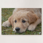 Cute Puppy Dog Puzzle<br><div class="desc">A picture puzzle that will bring hours of pleasure to anyone who loves dogs. Ideal as a gift or for your own pleasure.</div>
