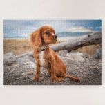 Cute Puppy Dog Puzzle<br><div class="desc">A picture puzzle that will bring hours of pleasure to anyone who loves dogs. Ideal as a gift or for your own pleasure.</div>