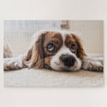 Cute Puppy Dog Puzzle<br><div class="desc">A picture puzzle that will bring hours of pleasure to anyone who loves dogs. Ideal as a gift or for your own pleasure.</div>
