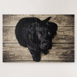 Cute Puppy Dog Puzzle<br><div class="desc">A picture puzzle that will bring hours of pleasure to anyone who loves dogs. Ideal as a gift or for your own pleasure.</div>