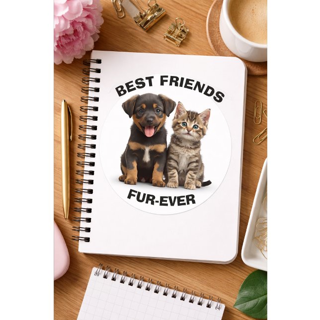 Cute Puppy & Kitten Sticker (Von Creator hochgeladen)