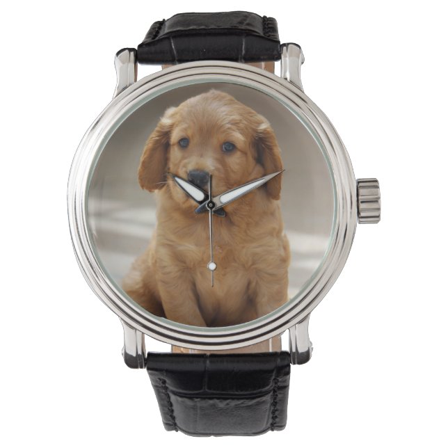 Cute Puppy Portrait Photo Armbanduhr (Vorderseite)