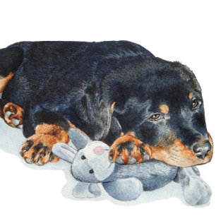 cute puppy rottweiler cuddling teddy bear puzzle