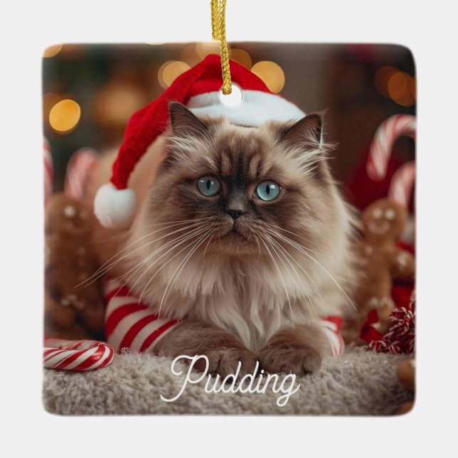 Cute Ragdoll Cat Christmas Magic Personalized  Keramikornament (Vorderseite)